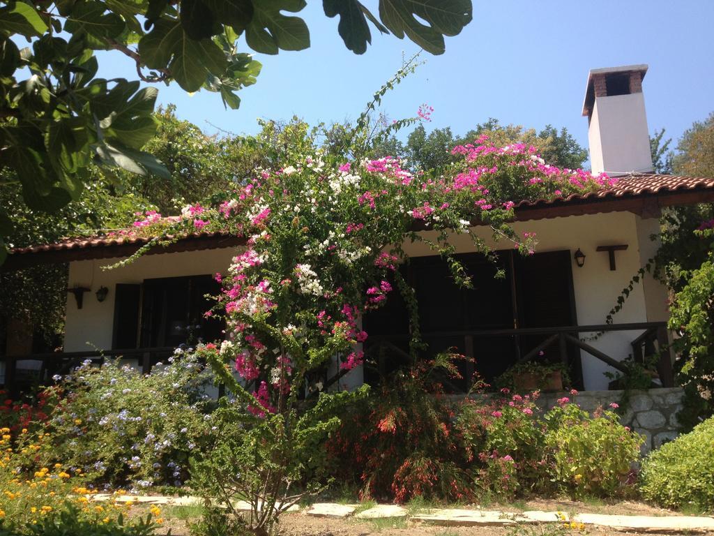 Selimiye Houses Extérieur photo