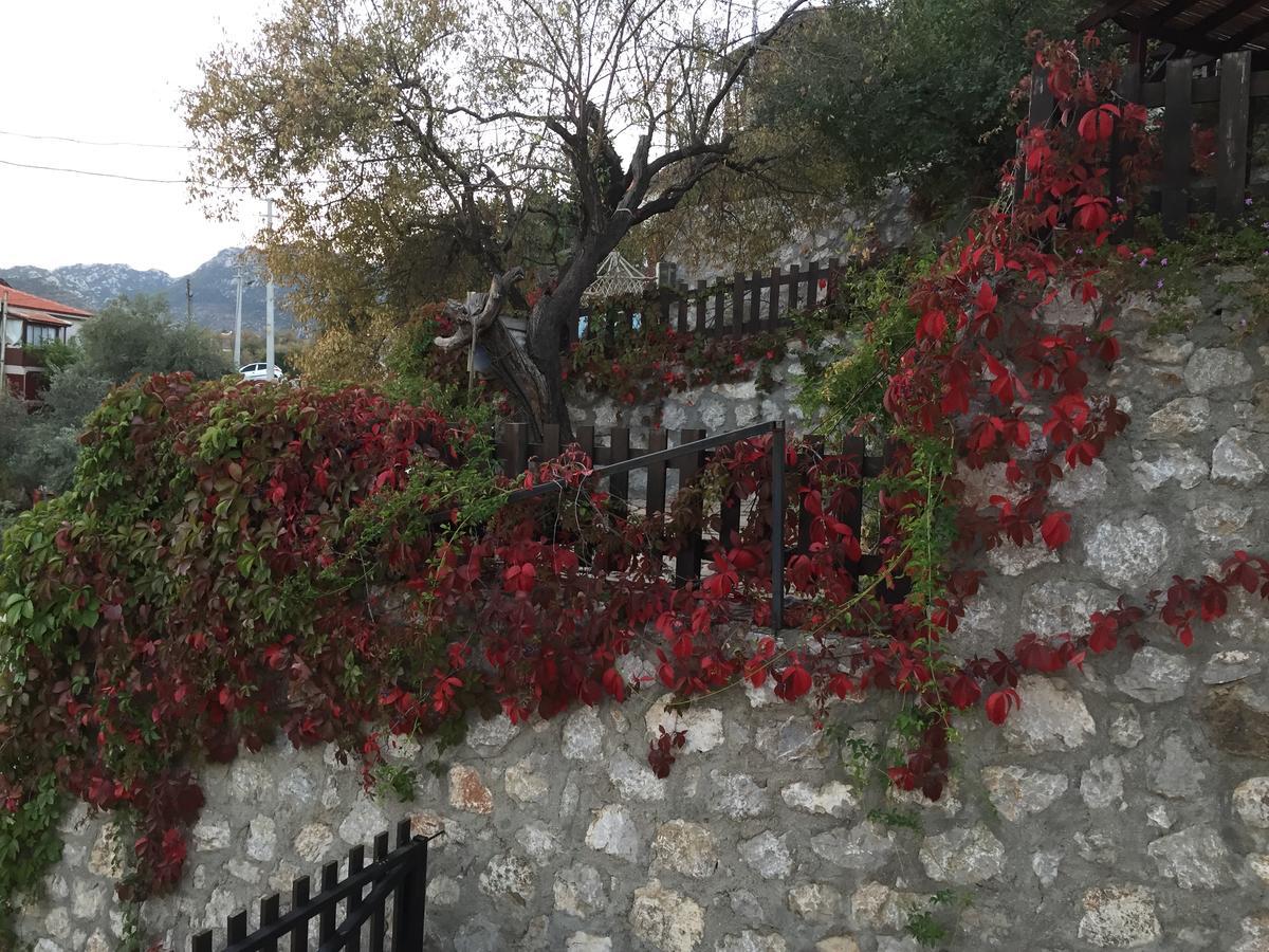 Selimiye Houses Extérieur photo